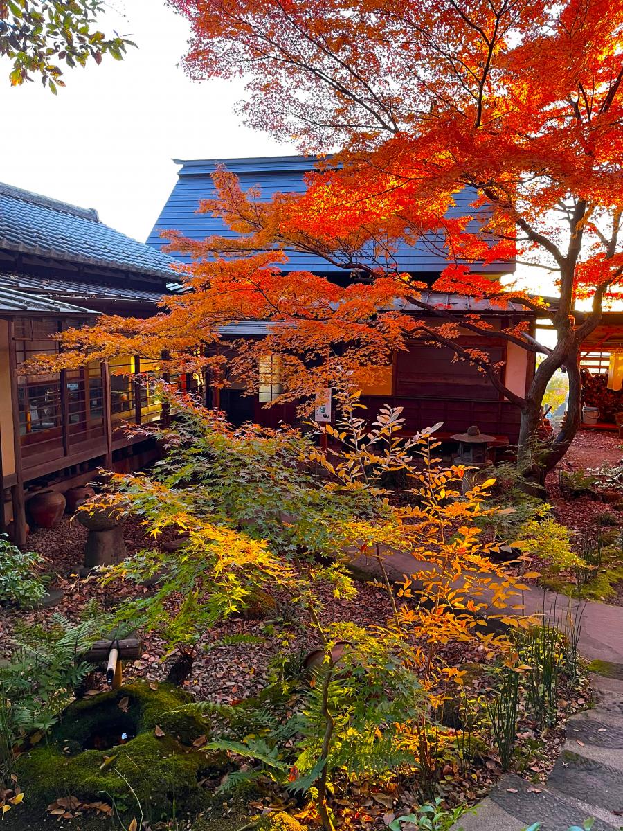 そばっ喰ひの庭